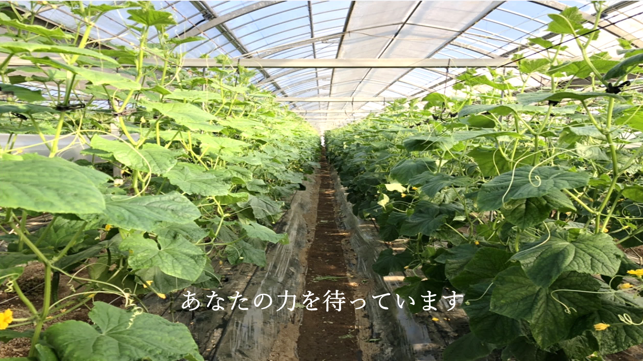 若い方や女性も大歓迎!