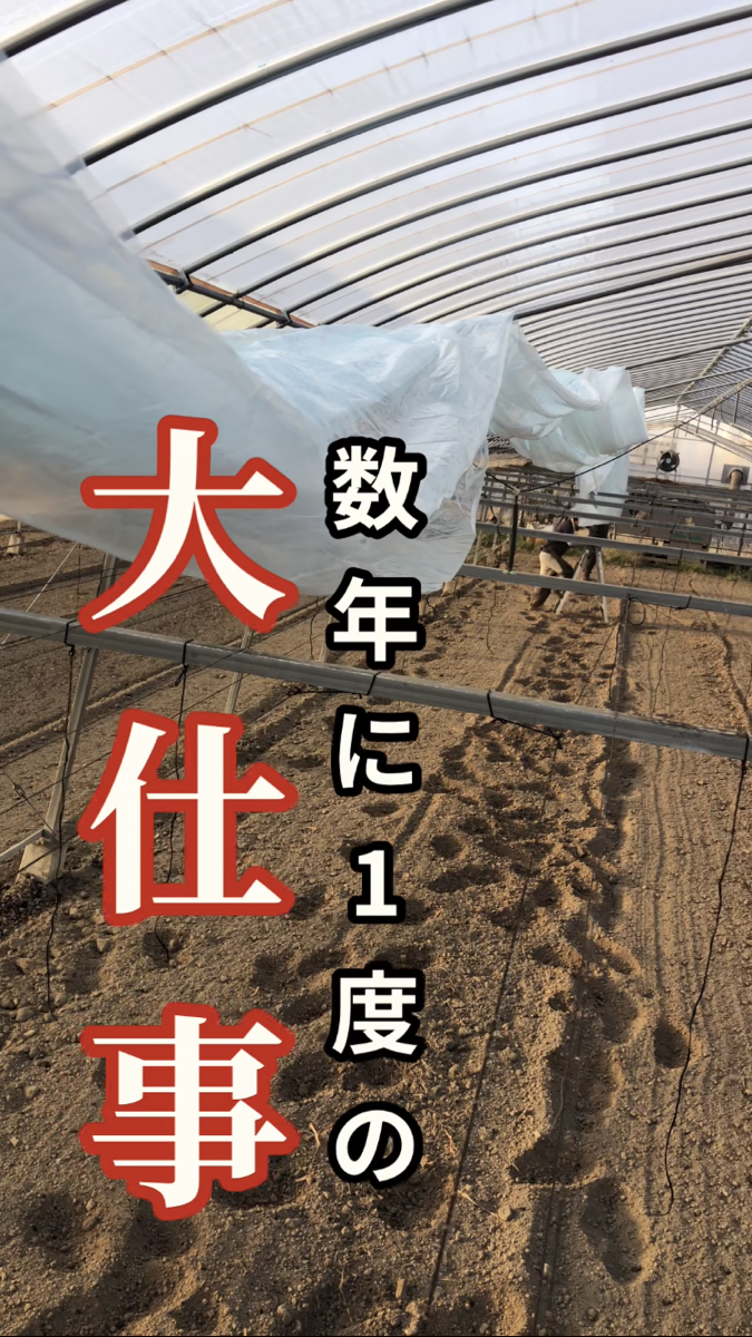 数年に1度の大仕事をしました! | ゆたか農園